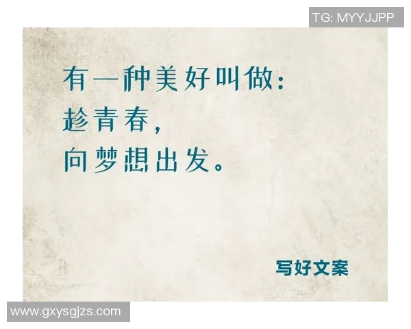 飞盘与梦想交织的旅程：刘强的深度对话与人生启示